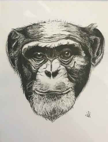 Dessin intitulée "Monkey" par Claire G, Œuvre d'art originale, Graphite