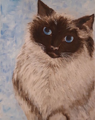 Peinture intitulée "Sacha chat sacré de…" par Clayre Paris, Œuvre d'art originale, Huile