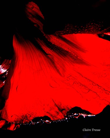 Fotografía titulada "Flamenco" por Claire Tresse, Obra de arte original