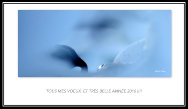 Fotografia intitulada "Très bonne et belle…" por Claire Tresse, Obras de arte originais