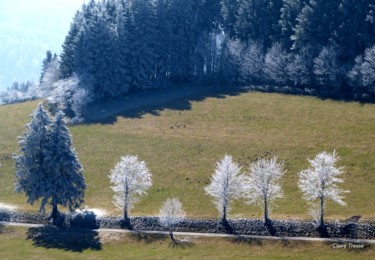 Photographie intitulée "Dégradé de bleus" par Claire Tresse, Œuvre d'art originale