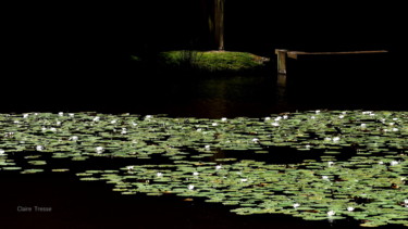 Photographie intitulée "Le ponton" par Claire Tresse, Œuvre d'art originale