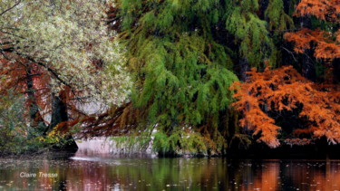 Photographie intitulée "Enchanteur" par Claire Tresse, Œuvre d'art originale