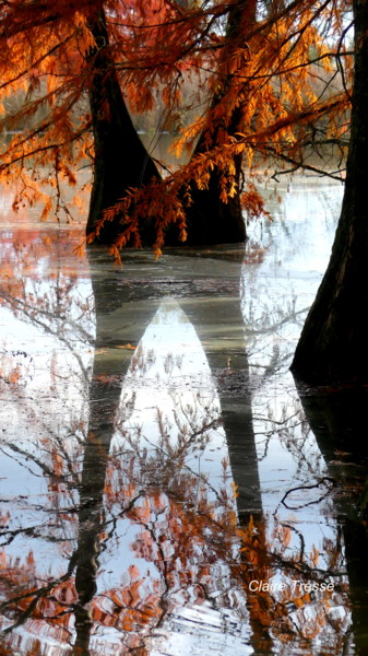 Fotografía titulada "" X "" por Claire Tresse, Obra de arte original