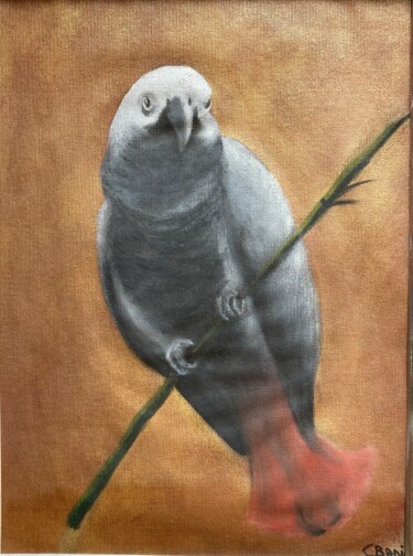 Painting titled "Drôle d’oiseau" by Claire Badia, Original Artwork, Oil Mounted on Cardboard