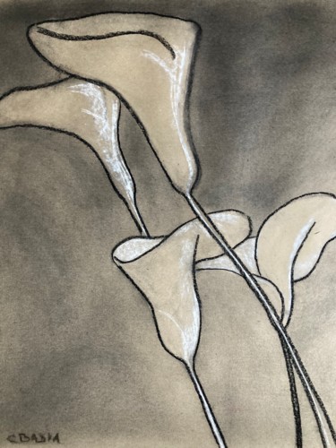 Dessin intitulée "Arums au fusain" par Claire Badia, Œuvre d'art originale, Fusain