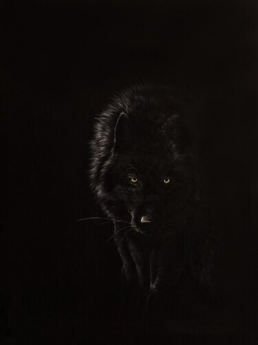 Painting titled "Nuit noire" by Claire Vogel, Original Artwork, Acrylic