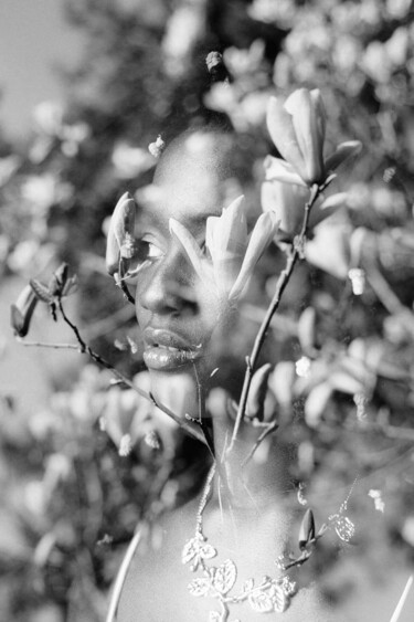 Fotografie mit dem Titel "Le Tulipier" von Clara Diebler, Original-Kunstwerk, Analog Fotografie Auf Aluminium montiert