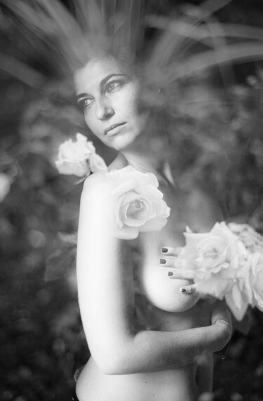 Fotografia intitulada "New roses" por Clara Diebler, Obras de arte originais, Fotografia de filme Montado em Alumínio