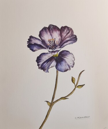 Malarstwo zatytułowany „Secret Violet - Ori…” autorstwa Clara Monnerot (L'Atelier Clara Del Sol), Oryginalna praca, Akwarela
