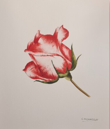 Schilderij getiteld "Call me Rose - Orig…" door Clara Monnerot (L'Atelier Clara Del Sol), Origineel Kunstwerk, Aquarel