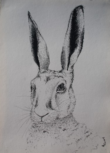 Zeichnungen mit dem Titel "Hare" von Clara Almada, Original-Kunstwerk, Tinte