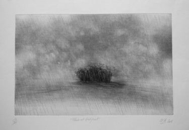 Gravures & estampes intitulée "pluie et bosquet" par Claude Amaouche, Œuvre d'art originale, Gravure