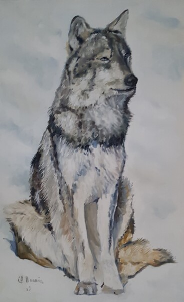 Painting titled "Loup gris" by Claude Bonnin, Original Artwork, Oil