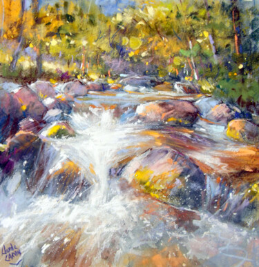 Peinture intitulée "l'eau vive" par Claude Carvin, Œuvre d'art originale, Pastel