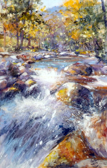 Peinture intitulée "Eclat de rivière" par Claude Carvin, Œuvre d'art originale, Pastel