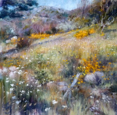Peinture intitulée "La prairie" par Claude Carvin, Œuvre d'art originale, Pastel