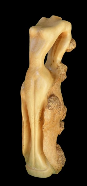 Scultura intitolato "Rêve Nu" da Claude David, Opera d'arte originale, Legno