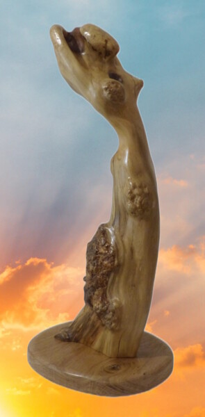 Скульптура под названием "Lumière" - Claude David, Подлинное произведение искусства, Дерево