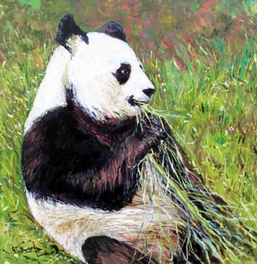 「Le Panda de Beauval…」というタイトルの絵画 Claude Evrardによって, オリジナルのアートワーク, オイル