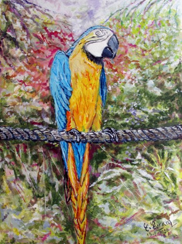 Malerei mit dem Titel "Coco le perroquet" von Claude Evrard, Original-Kunstwerk, Acryl Auf Plexiglas montiert