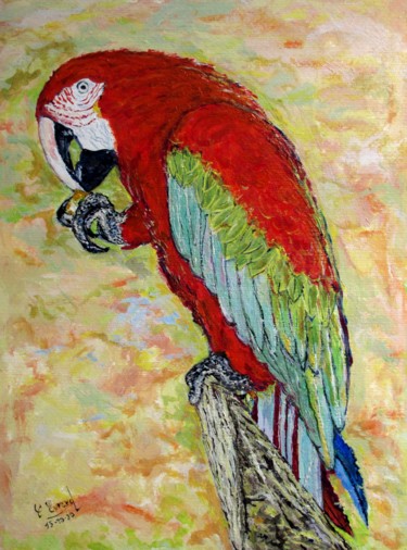 Картина под названием "Le perroquet rouge" - Claude Evrard, Подлинное произведение искусства, Акрил Установлен на плексиглас