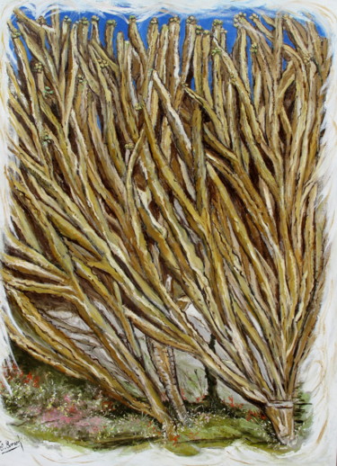 Peinture intitulée "VARIATIONS CACTEES" par Claude Evrard, Œuvre d'art originale, Huile Monté sur Châssis en bois