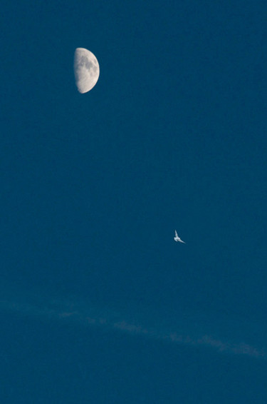 Photographie intitulée "Azur" par Claude Ferrara, Œuvre d'art originale