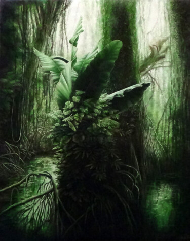 Картина под названием "Amazonie colombienne" - Claude Feuillet, Подлинное произведение искусства, Масло