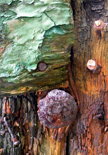 Photographie intitulée "assemblage.jpg" par Claude Guillemet, Œuvre d'art originale, Photographie numérique