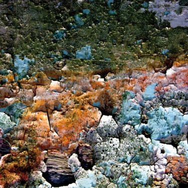 Photographie intitulée "paysage sous-marin.…" par Claude Guillemet, Œuvre d'art originale, Photographie numérique