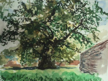 Dessin intitulée "le chêne millénaire…" par Claude Hardenne, Œuvre d'art originale