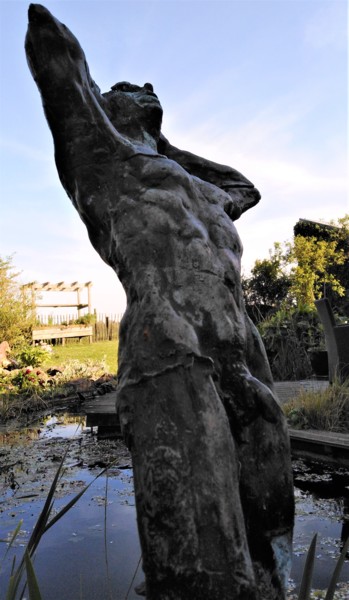 Sculpture intitulée "Foudroyé!" par Claude Hardenne, Œuvre d'art originale, Bronze