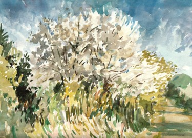 Peinture intitulée "Cerisier sauvage" par Claude Hardenne, Œuvre d'art originale, Aquarelle