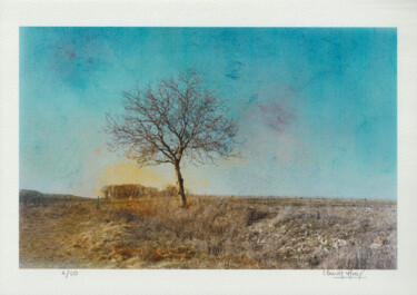 Digitale Kunst mit dem Titel "arbre 3" von Claude Huré, Original-Kunstwerk, Digitale Fotografie