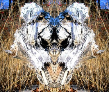Arts numériques intitulée "zzzK001.jpg" par Claude Langevin (Cloud Rabbit), Œuvre d'art originale