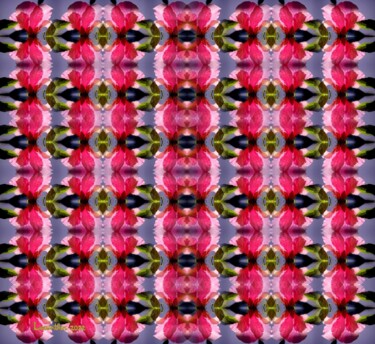 Digital Arts titled "KALEIDOSCOPIE 1" by Lucenthos, Original Artwork, Digital Painting