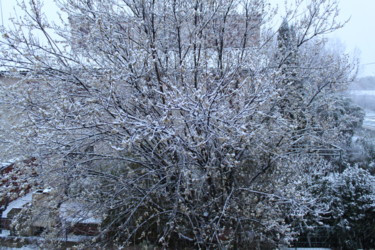 Fotografía titulada "neige" por Claude Conte, Obra de arte original, Fotografía digital