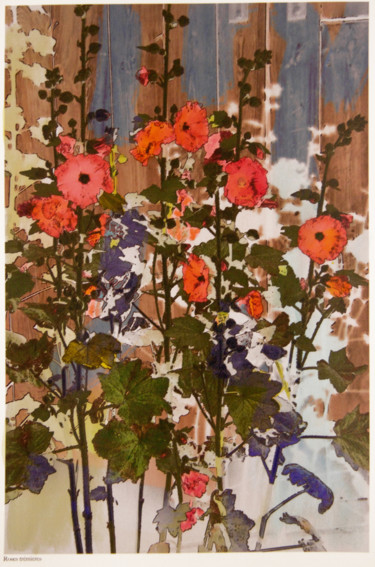 Digitale Kunst mit dem Titel "roses tremieres.jpg" von Claude Corbier, Original-Kunstwerk, Fotomontage