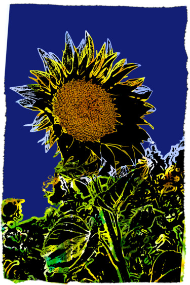 Photography titled "Tournesol" by Claude Corbier, Original Artwork, Manipulated Photography