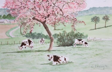 Painting titled "campagne normande" by Claude Lacointe, Original Artwork, Watercolor