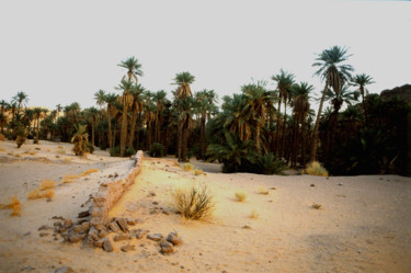 Φωτογραφία με τίτλο "Oasis de Tomimoun" από Claude Grand, Αυθεντικά έργα τέχνης, Χειρισμένη φωτογραφία