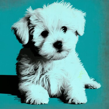 Картина под названием "TEDDY DOG" - Claudia Sauter (Poptonicart), Подлинное произведение искусства, Цифровая живопись