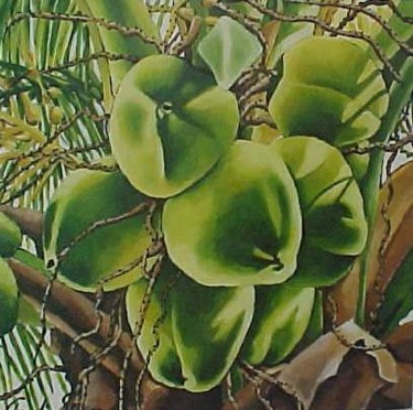 Ζωγραφική με τίτλο "Coconuts" από Claudia Susan, Αυθεντικά έργα τέχνης, Λάδι