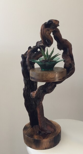 Sculpture titled "pieds de vigne et c…" by Claudie Thedevuide, Original Artwork, Wood