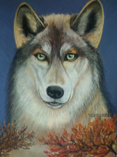 Desenho intitulada "Le petit loup" por Claudine Marquet, Obras de arte originais, Pastel