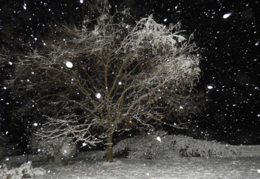 Fotografie getiteld "Mon arbre cette nui…" door Claudine Ziga, Origineel Kunstwerk