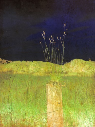 Fotografía titulada "Juste quelques herb…" por Claudine Ziga, Obra de arte original, Fotografía manipulada