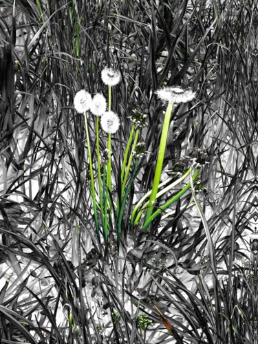 Fotografia zatytułowany „Printemps... dessin…” autorstwa Claudine Ziga, Oryginalna praca, Fotografia cyfrowa