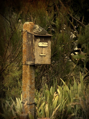 Photography titled "J'attends votre cou…" by Claudine Ziga, Original Artwork